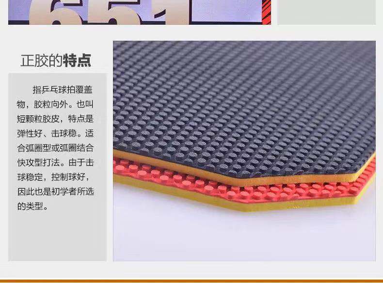 �t�pϲ651���z